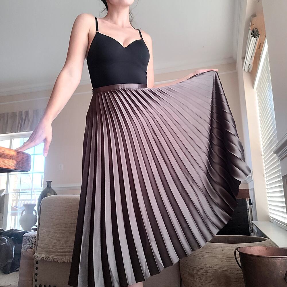 Pleated Metallic Silver Gray Skirt Sz S Pomelo